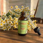 Mielle-Rosemary-Mint-Scalp-amp-Hair-Strengthening-Oil-1